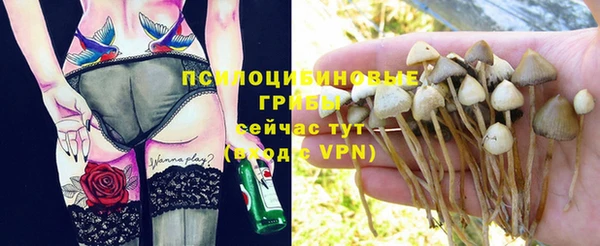 мдма Корсаков