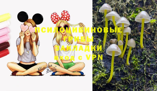 мдма Корсаков